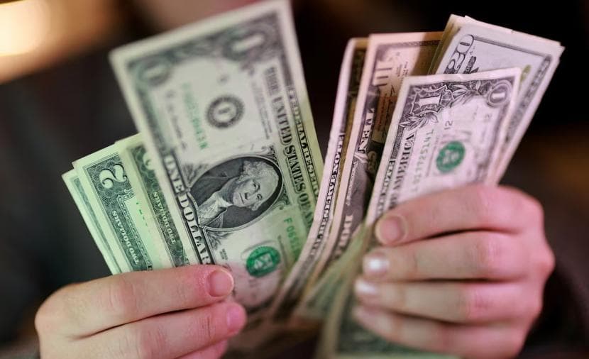 Dollar gains on Fed rate hike bets