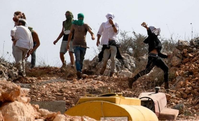 Settlers Try to Steal Sheep Near Beit Lahm