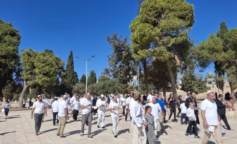 مستوطنون يقتحمون الأقصى لليوم الثاني من عيد العرش