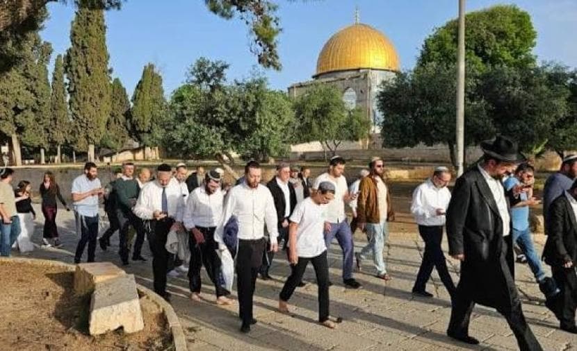 Settlers breach Al-Aqsa during Feast
