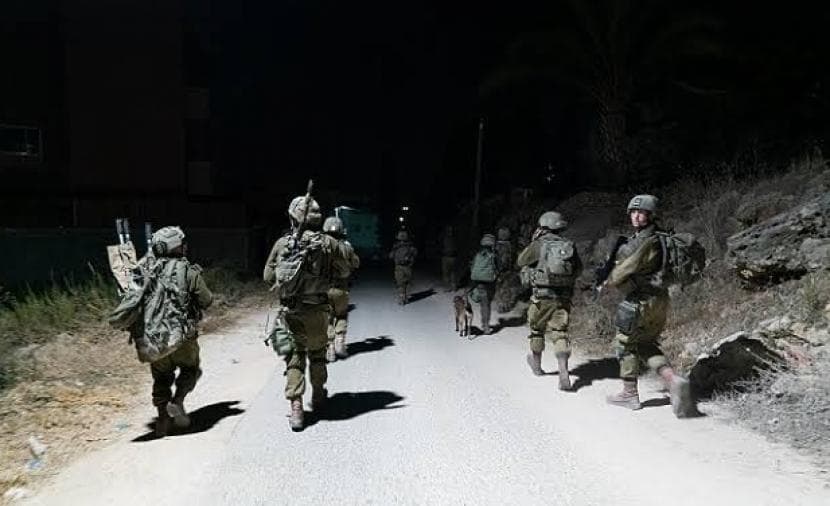 مستوطنون يقطعون أراضي زيتون جنوب نابلس