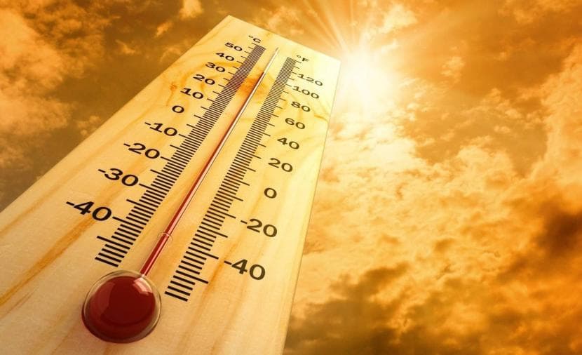 Hot Weather in Palestine Today