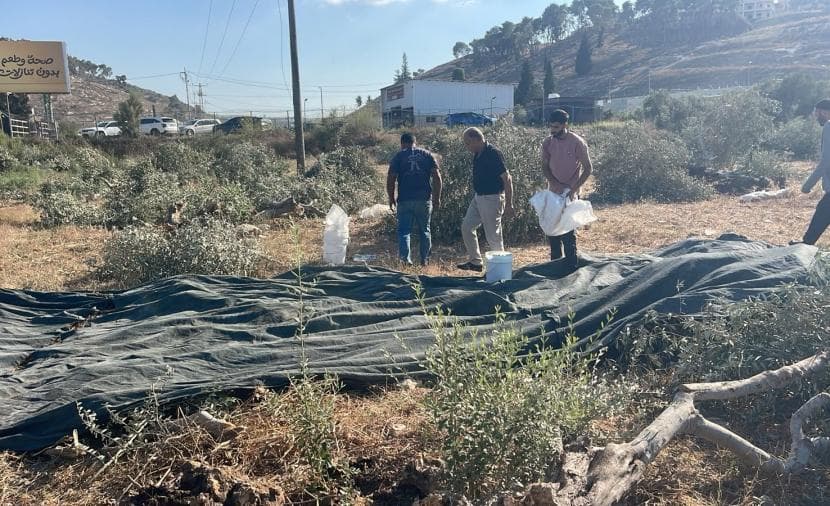 الاحتلال يواصل تجريف أراضي الزيتون في جنين
