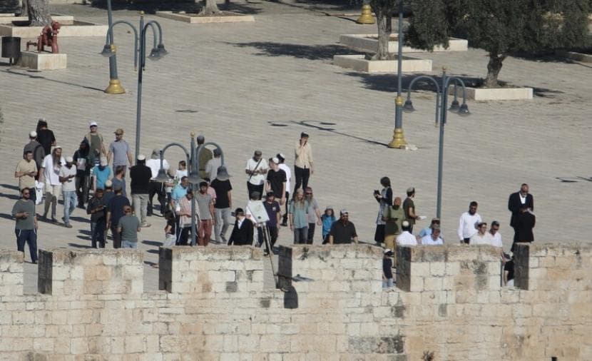 1678 مستوطنا يهاجمون الأقصى في يومين