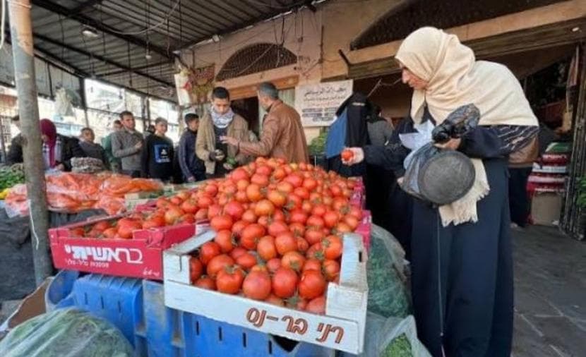 Research Center on Gaza Criticism and Business