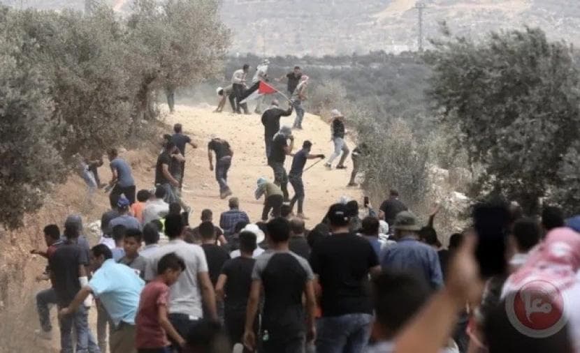 Belgium's Foreign Minister condemns settlers' assault on diplomats