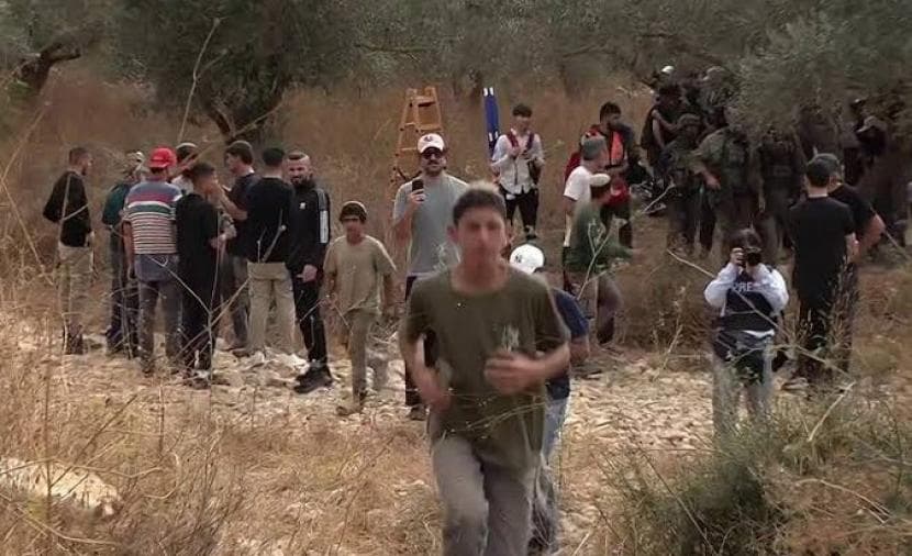 Occupation and settlers target farmers in 40 attacks