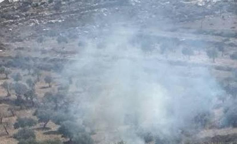 Occupation fires tear gas at farmers south of Jenin