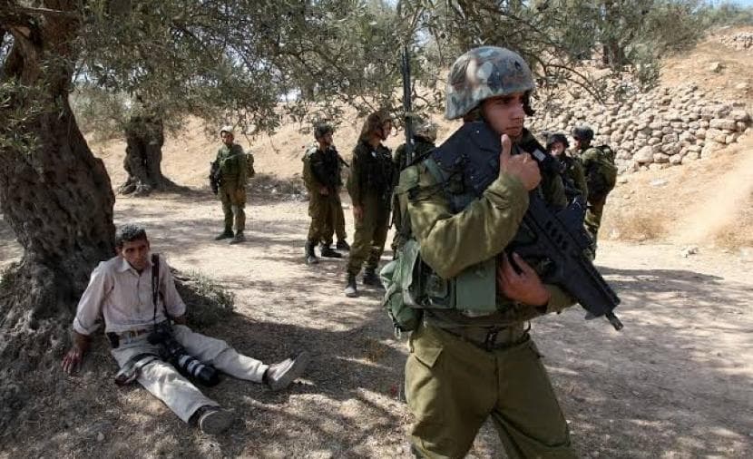 Occupation detains two youths in Jenin during olive harvest