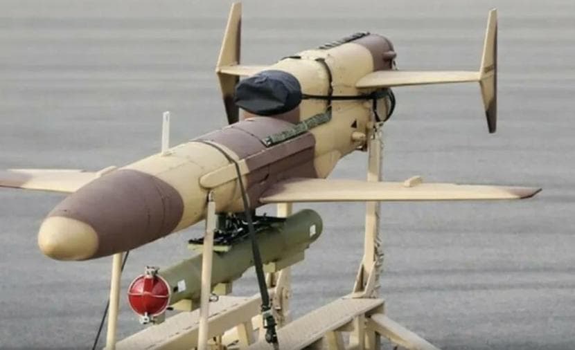 Israeli envoy discusses Russian drones in Ukraine