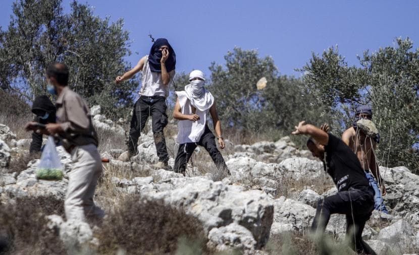 Extremist rabbi issues olive theft fatwa