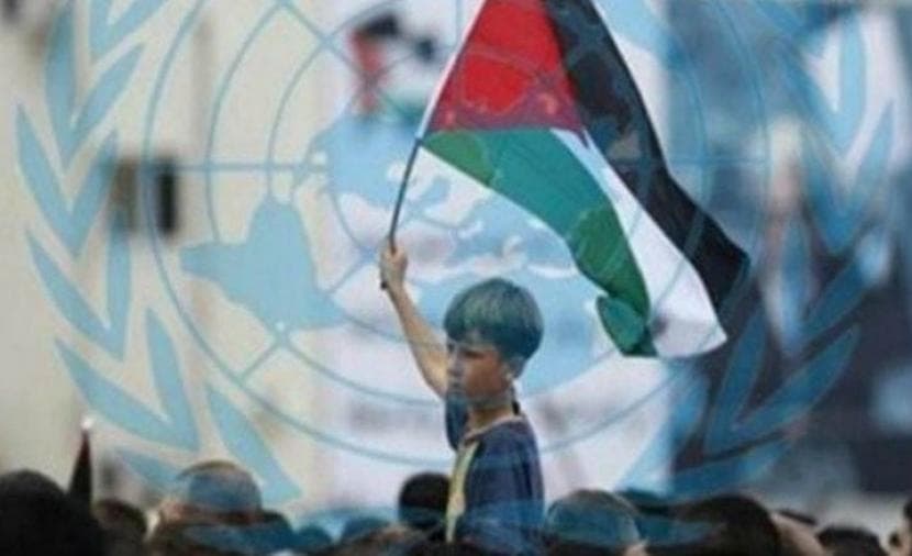 Historian urges protection of Palestinian rights