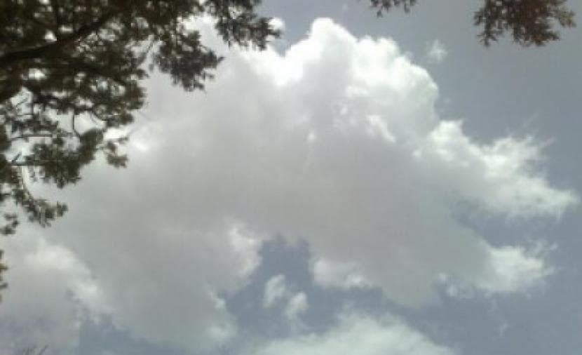Palestine Friday Weather: Scattered Rains