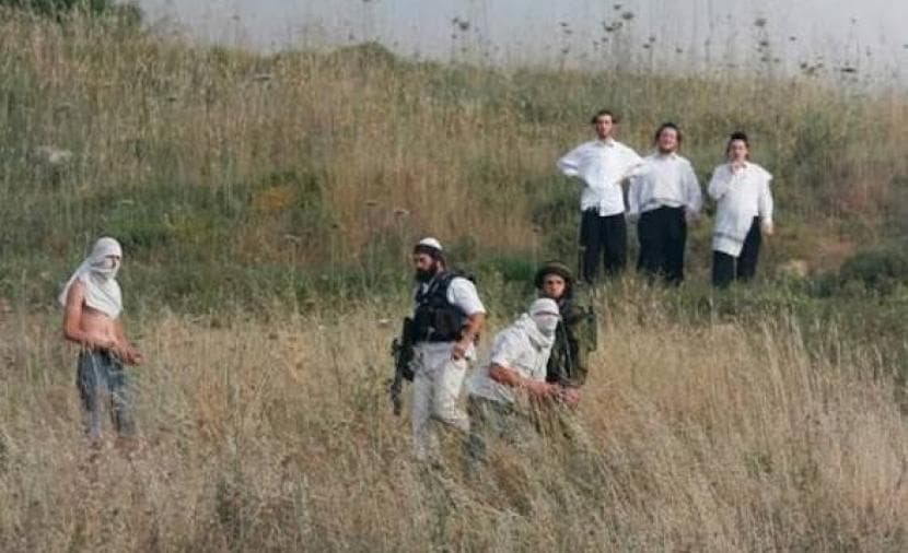 West Bank Settler Attacks Reach 12