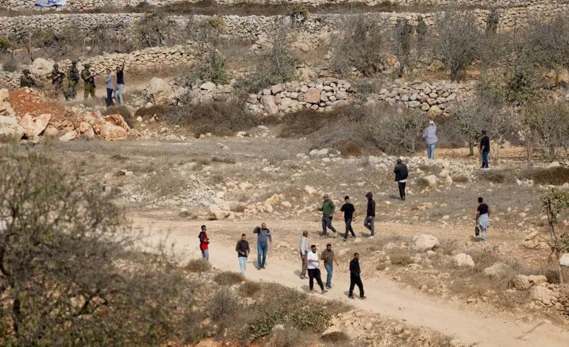 مهاجمات للمستوطنين على الزيتون وضحايا في الضفة