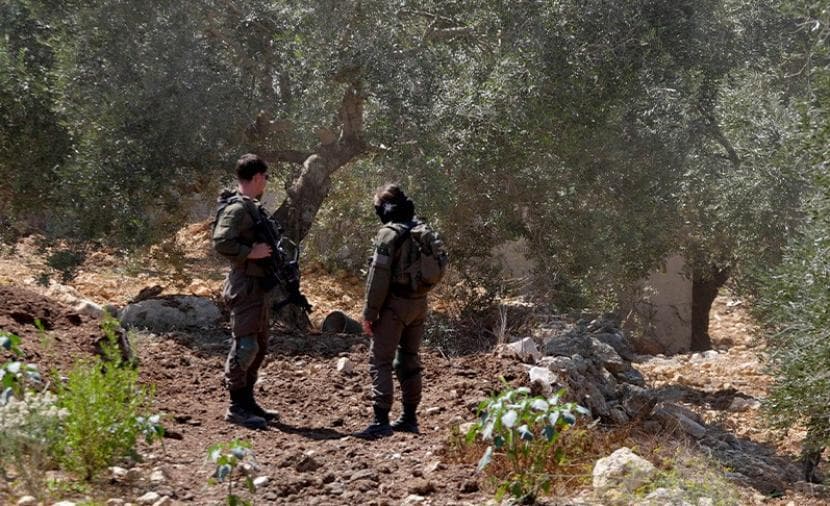 خبراء أمميون يدعون لحماية المزارعين الفلسطينيين
