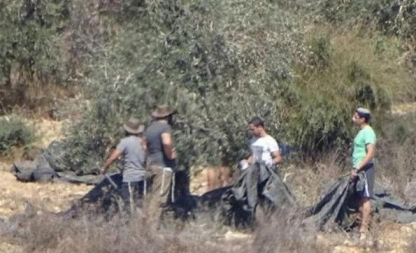 West Bank: Citizen Injured in Settler Attacks