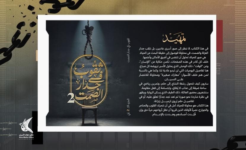 Prisoners' Media Releases Second Part of Hole in Silence