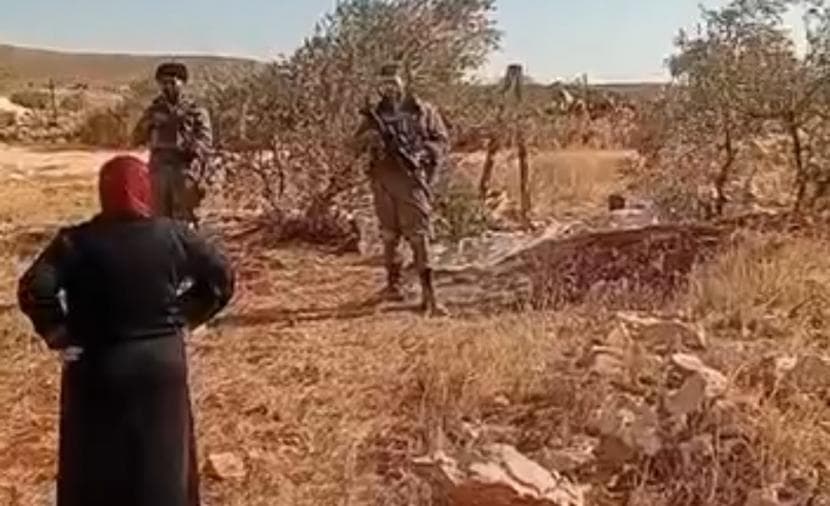 Injuries from suffocation and tree cutting in Nablus region