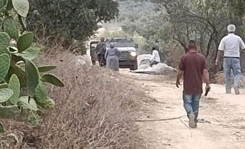 Occupation blocks olive harvesting south of Jenin