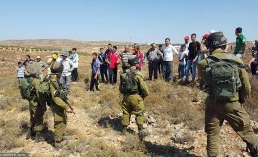 Occupation forces force farmers from Qalqilya east