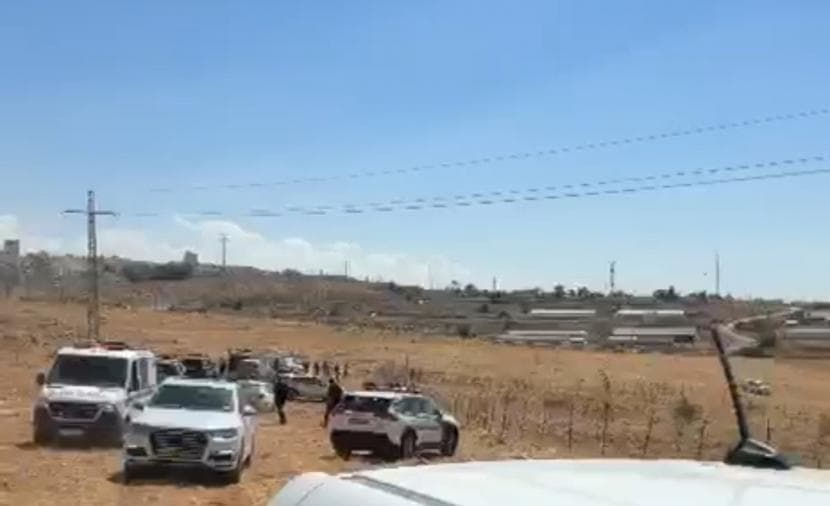 Occupation forces attack olive harvesters in Anata