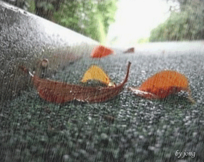 Meteorological Authorities Issue Warning