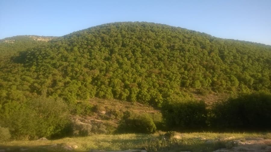 هواء معتدل يخفّض درجات الحرارة في الأردن