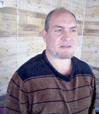 الفراشة وجهة الضوء
