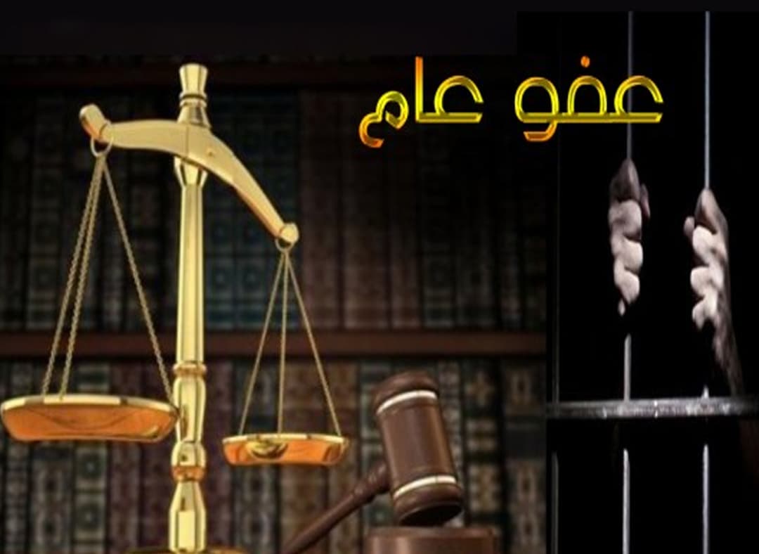 Parliamentary Memo Recommends General Amnesty