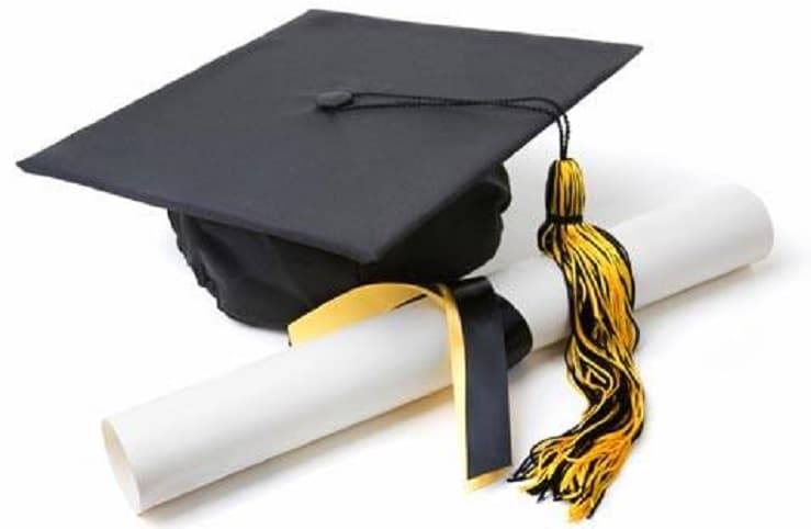 Public sector allocates 5% to top grads