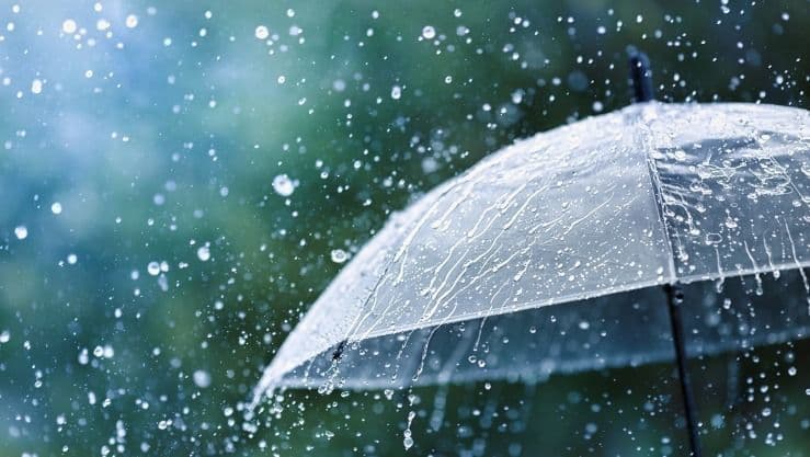 Al-Ma'fer reports record rainfall
