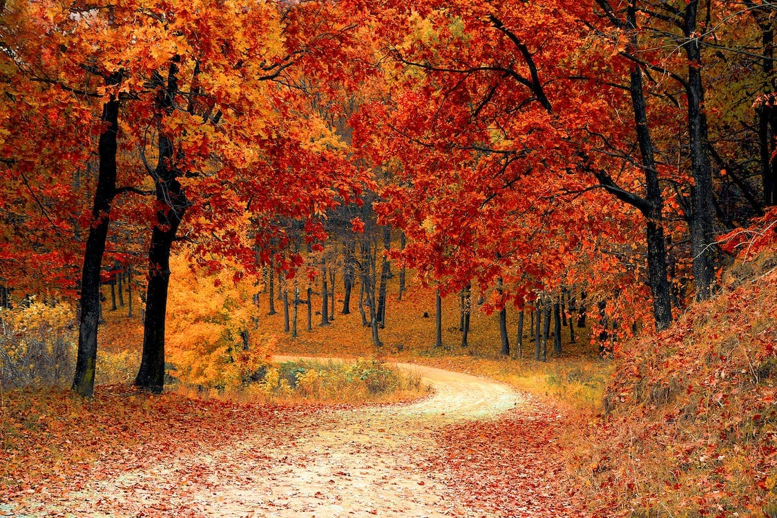 First day of autumn begins