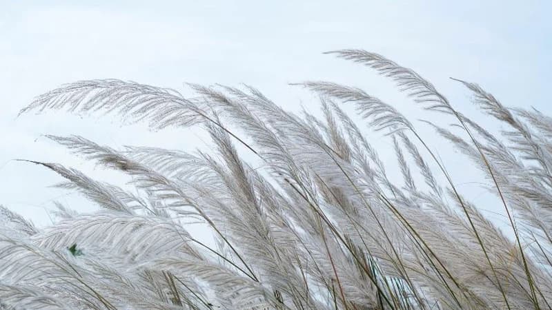 Temperatures Drop and Wind Rises Later This Week