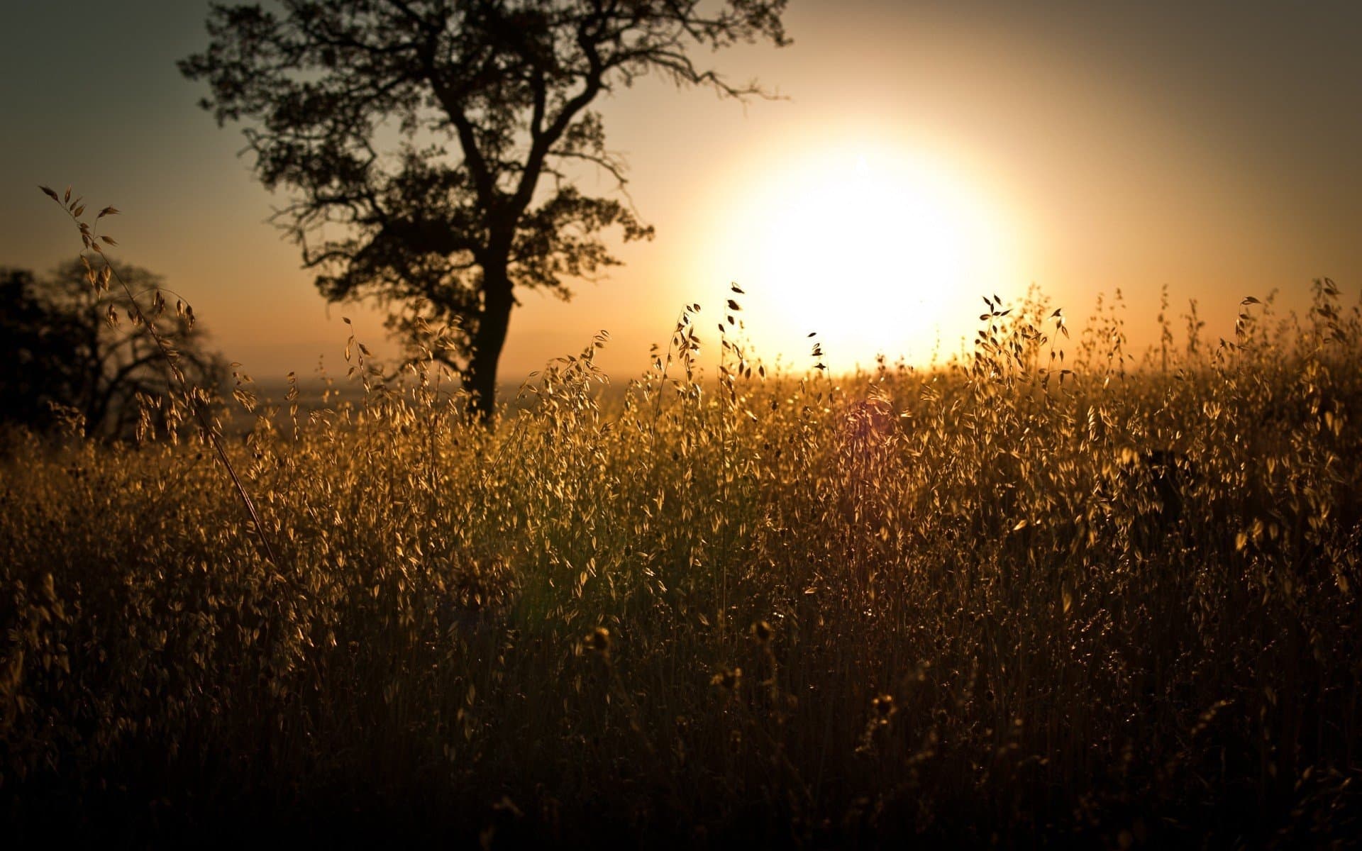 Cooler evenings expected early October