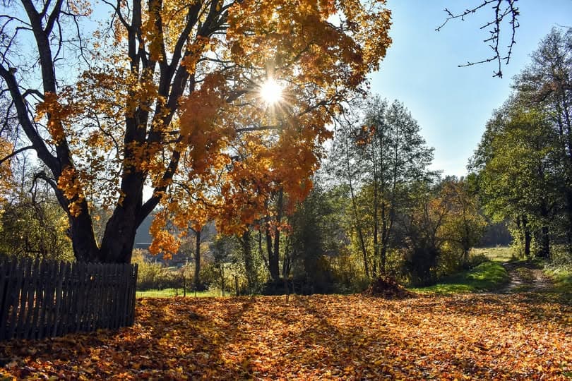 Jordan autumn weather forecast