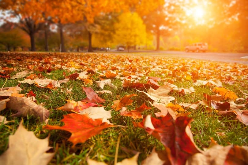 Friday Sees Temperatures Rise