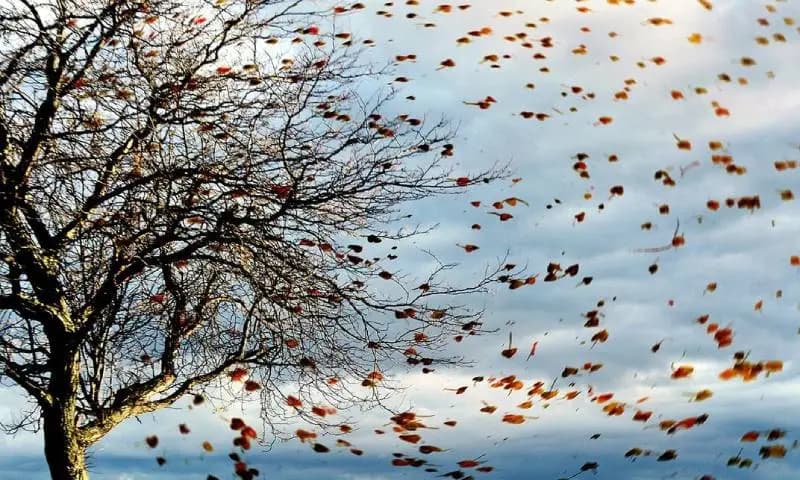 Autumn Starts Today Not Astronomically