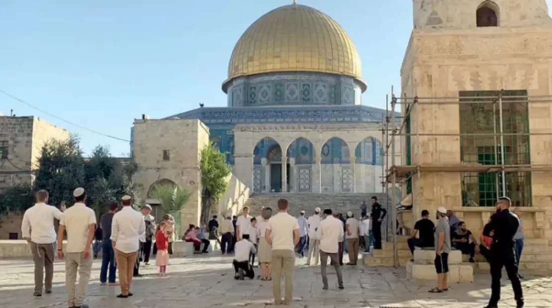 Over 100 settlers enter Al-Aqsa under protection