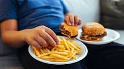 Neural link between food and memory