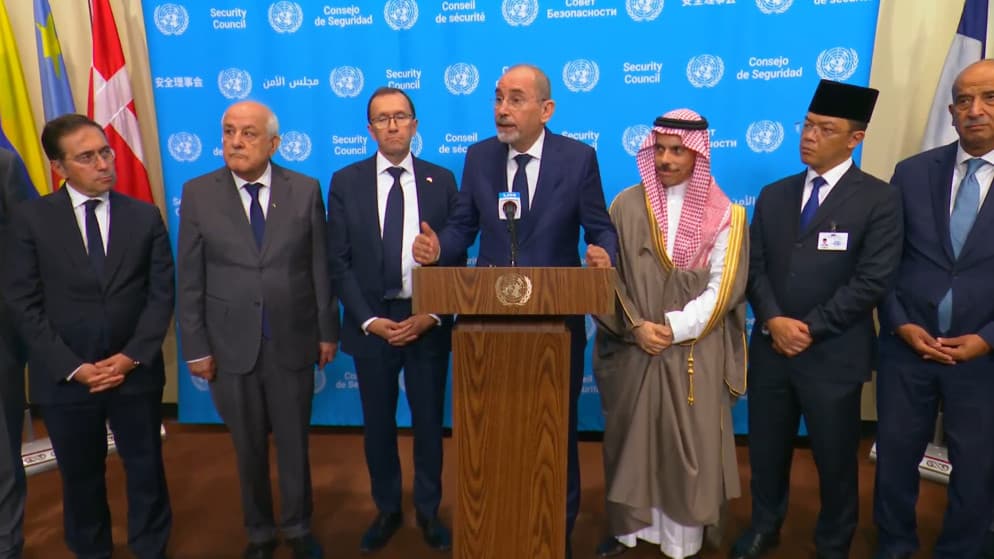 Al-Safadi Criticizes Israeli Comments on Palestinian Issue