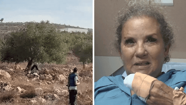 US ambassador labels settler attack on journalist as terror