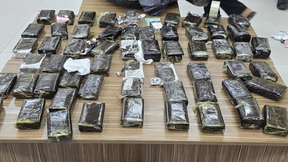 الجمارك تضبط حشيش وماريجوانا