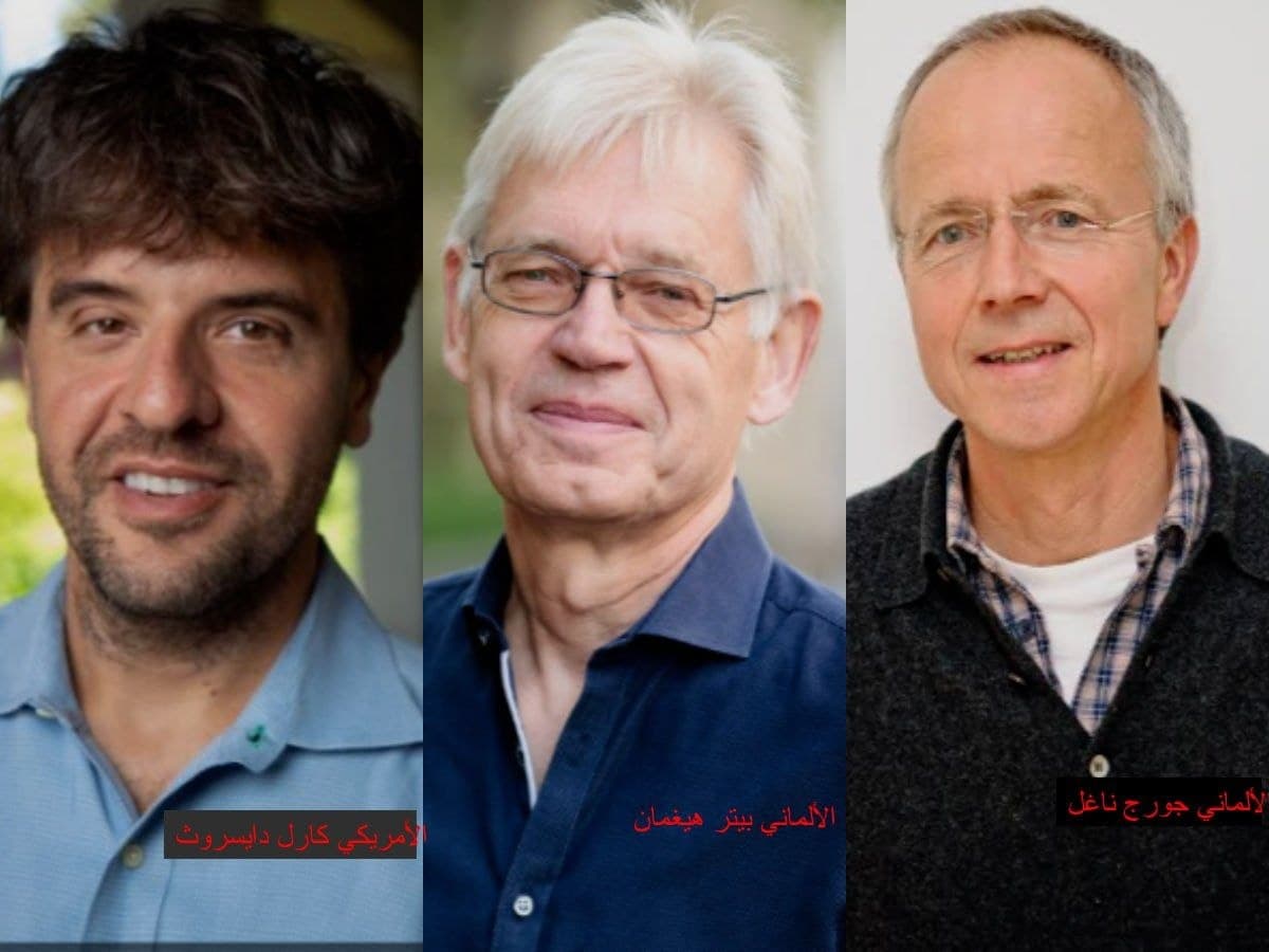Scientists awarded 2026 Nobel in Medicine for genetic optics advances