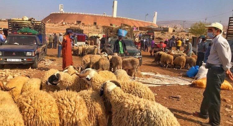 توقعات الحولي تصل إلى 195 درهم في 2030