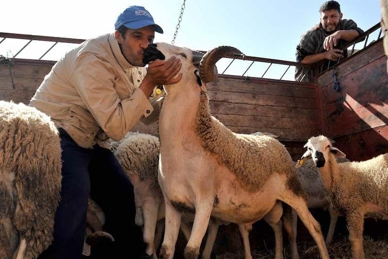 المغربي يختار مقاطعة إسرائيل