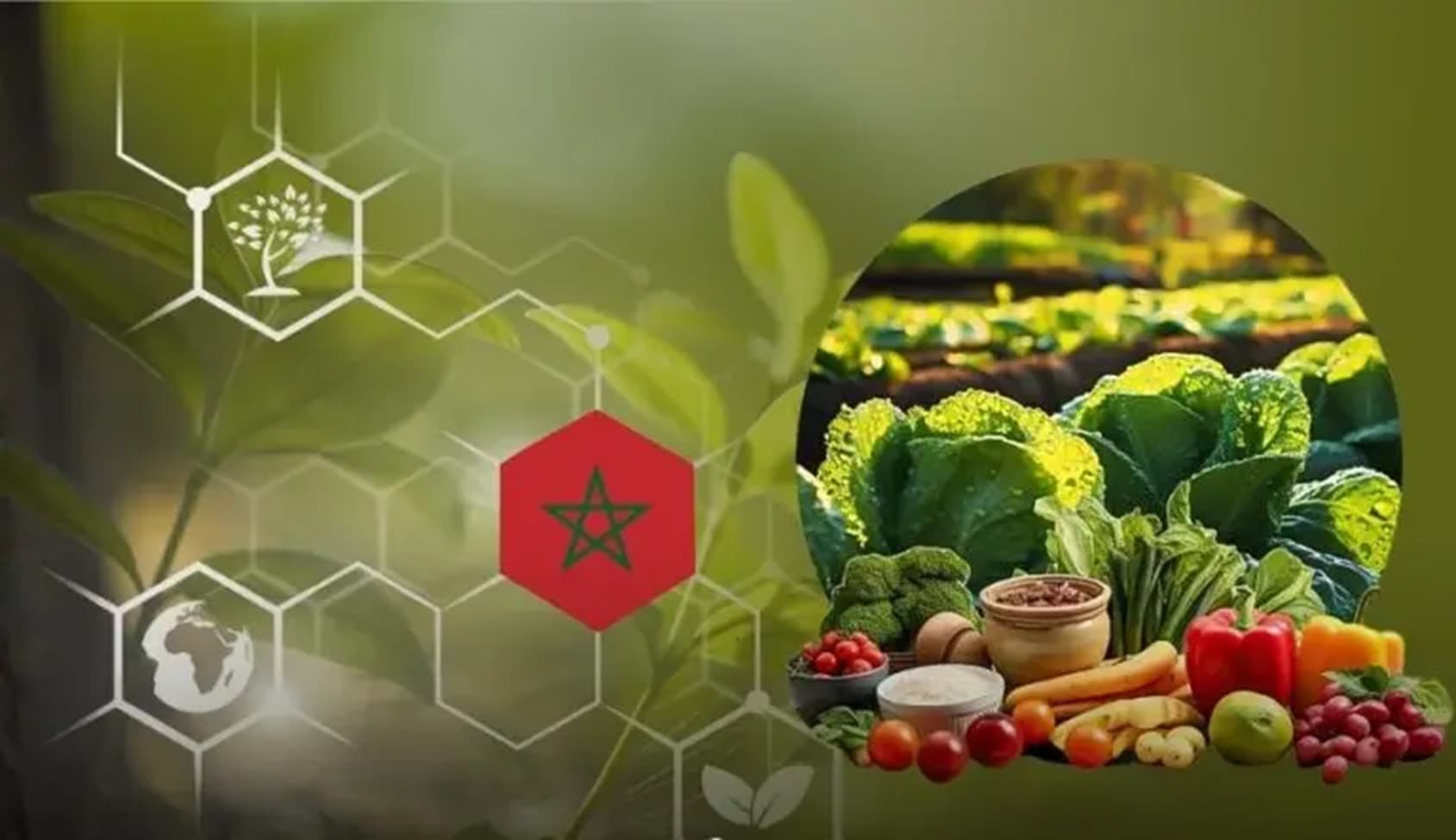 الناتج الداخلي للمغرب يصل إلى 5,4٪ والفلاحة إلى 19,9٪ والاستثمار إلى 11,1٪ حسب الأرقام الرسمية