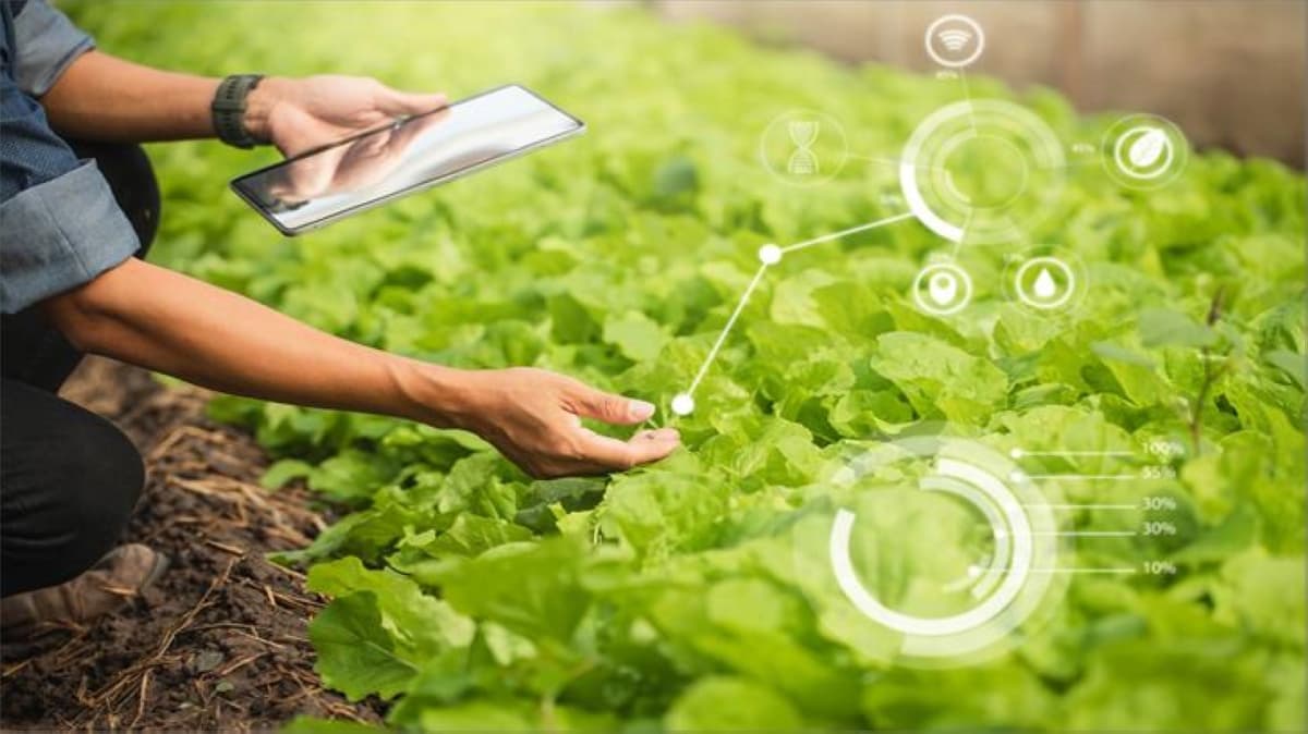 China unveils first open-source AI for crop protection