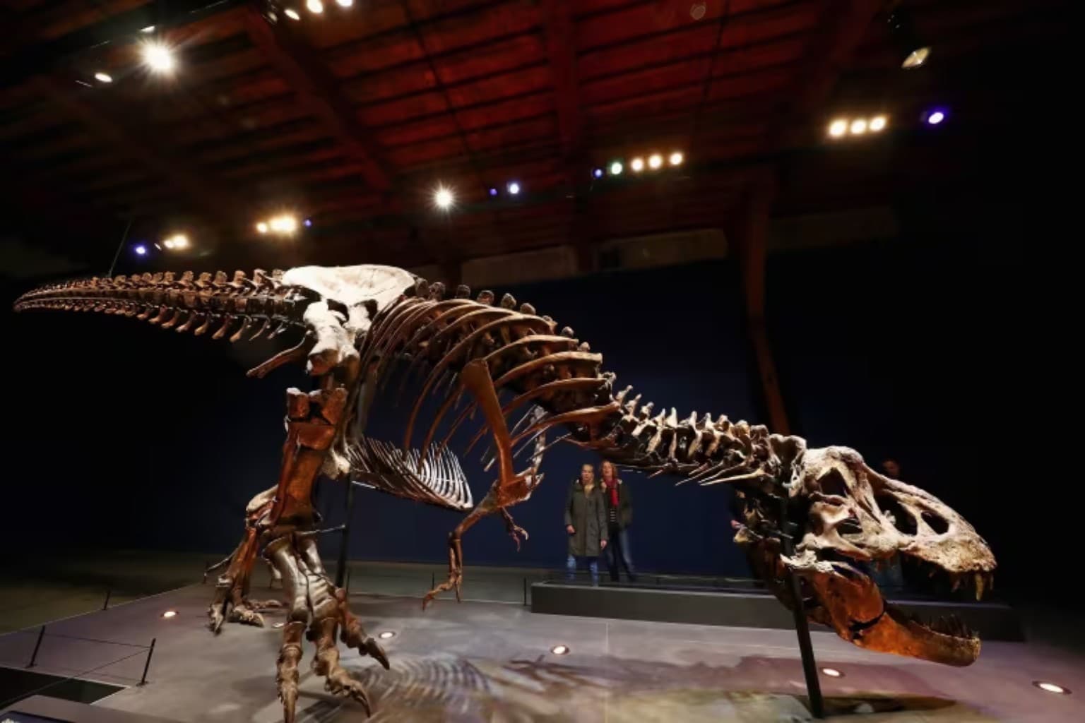 Moroccan Paper Explains Dinosaur Hand Size