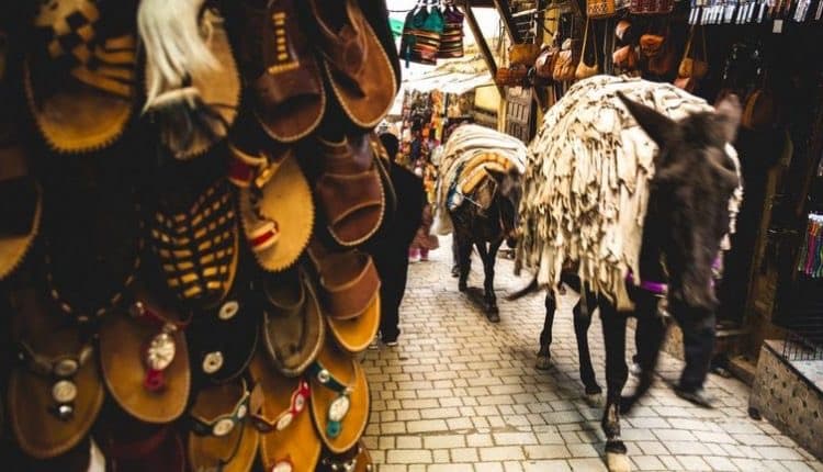 Fez Leather Market Chaos Continues